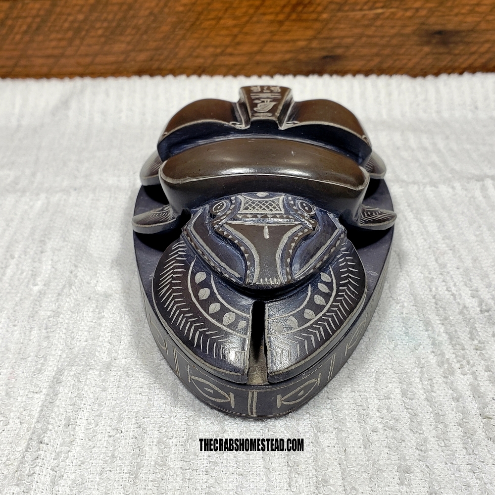 Hieroglyphic Scarab Beetle